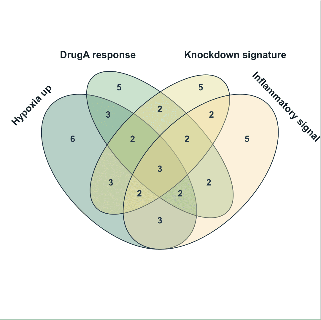 Venn Diagram preview